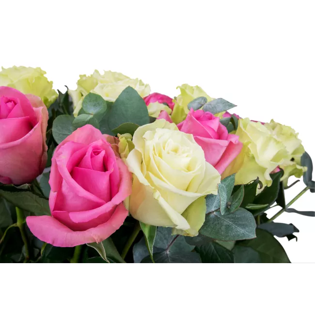 Kytice ekvádorských růží 80cm